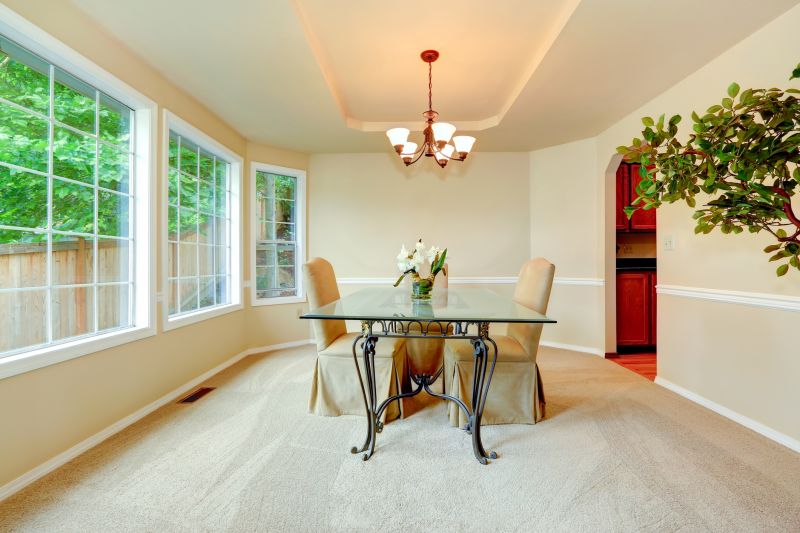 French Window Replacement